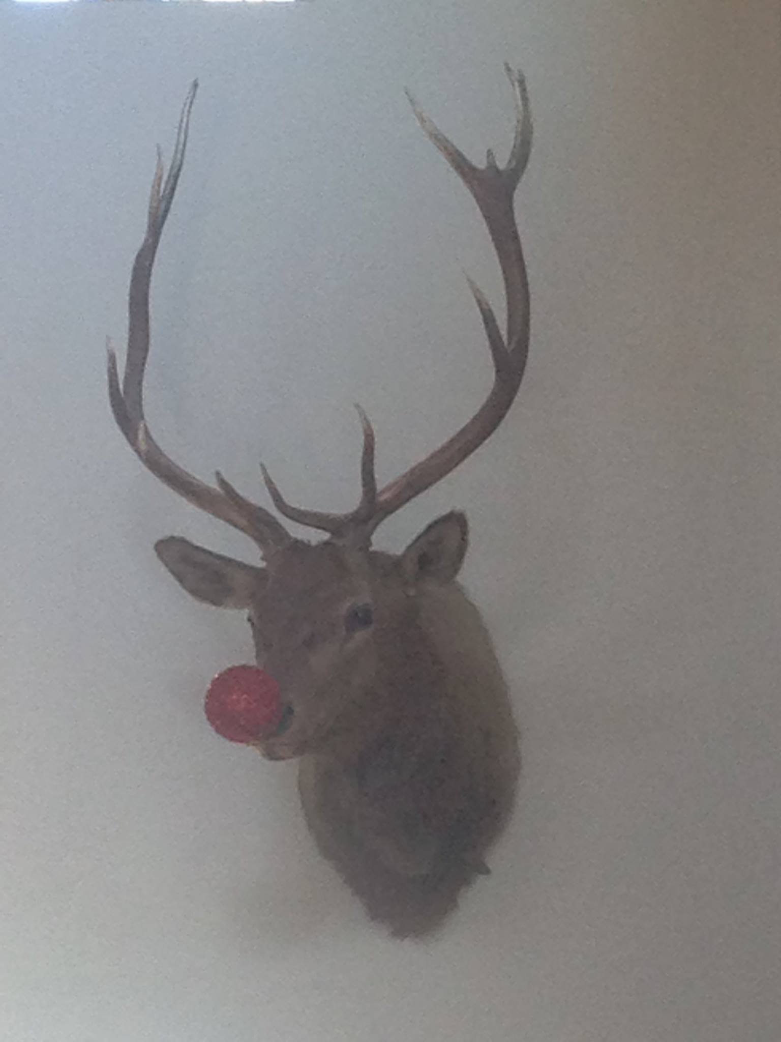 Rudolf the red nosed reindeer.